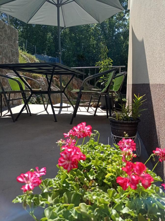 Apartment Zlatko マトゥリ エクステリア 写真